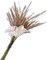 60 Pieces 18 Gauge Floral Stem Wire 14 Inch Crafting Floral Paper Wrapped Wire, Dark Green
